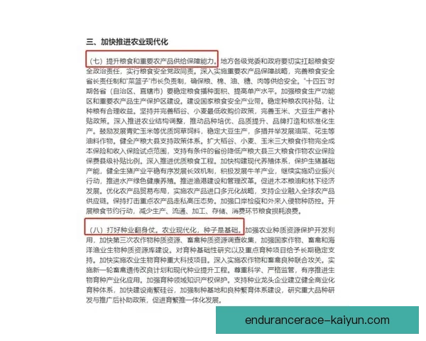 Musiala 个人年度荣誉分析与表现回顾