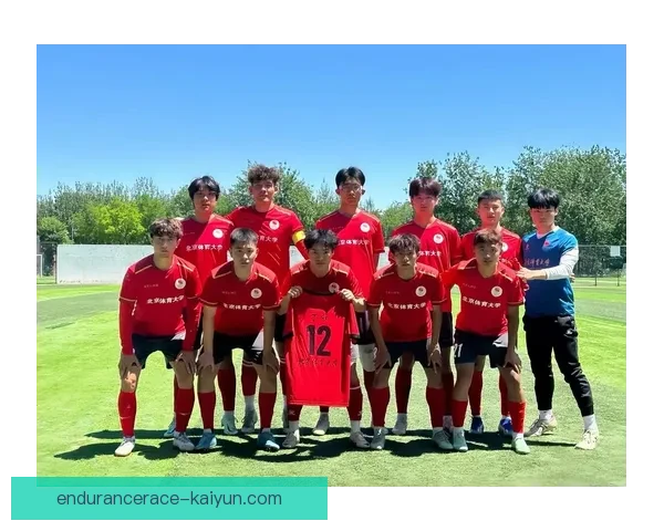 丹麦童话足球的逐梦之旅与球队表现回顾